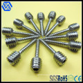 Stainless Steel Cylindrical Hex Socket Cap Double Teeth Screw
